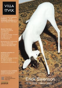 Erick Swenson - Untitled Detail (2001) - 2002 Offset Lithograph 33" x 23.5"