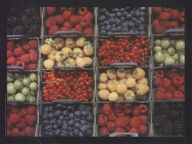 Cesena - Berries - Poster - Photography, Vintage