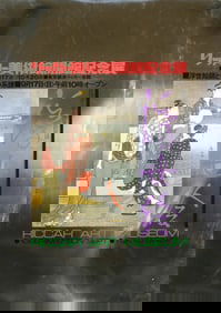 Artist Unknown - Riccar Art Museum - Poster - Asian, Vintage