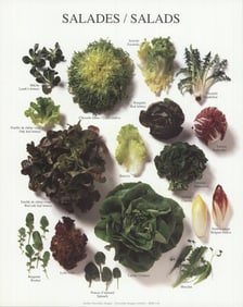 Artist Unknown - Salads - 1997 Poster - Photography, Vintage