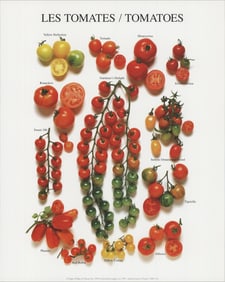 Artist Unknown - Tomatoes - 1997 Poster - Photography, Vintage