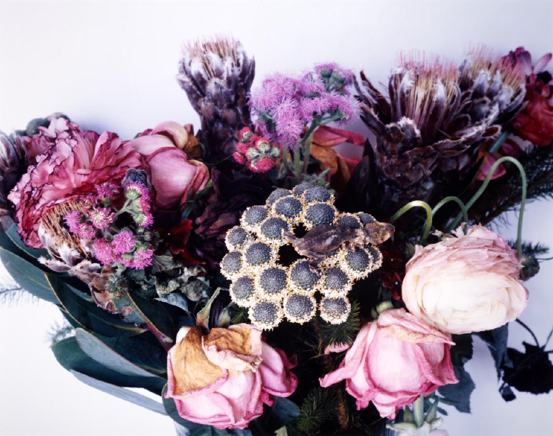 NOBUYOSHI ARAKI (* 1940) (1 of 1)