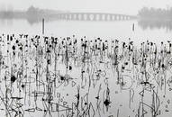 RENÉ BURRI (1933-2014)