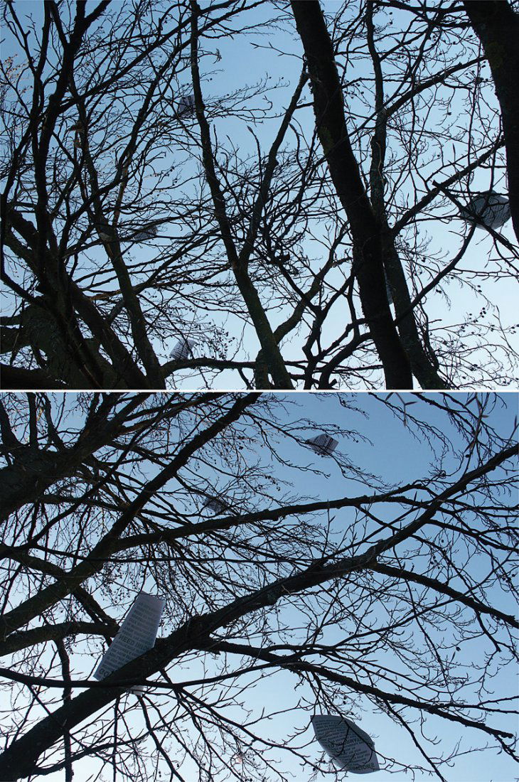 Oliver Ressler: Oliver Ressler, ›Fly Democracy‹, 2007, 59,4 x 39,4 cm (23,4 x 15,5 in), Signed, titled and numbered by the photographer on the reverse, edition no. 1/3