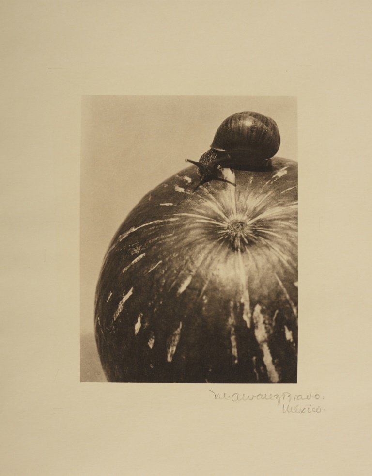 MANUEL ÁLVAREZ BRAVO (1902–2002) ‘Calabaza y caracol’ (: Platinum palladium print, printed later 15 x 11,4 cm (5.9 x 4.5 in) Signed and annotated by the photographer in pencil in the margin