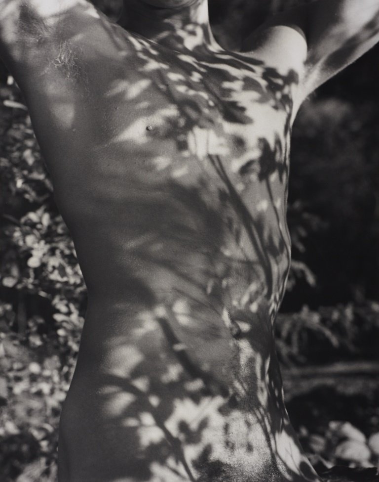 BRUCE WEBER (* 1946) ‘Tyke, Long Pond, Adirondack Park: Gelatin silver print, printed 1990s 33,9 x 26,7 cm (13.3 x 10.5 in) Signed, titled, dated and numbered by the photographer in pencil on the reverse, edition no. 42/100
