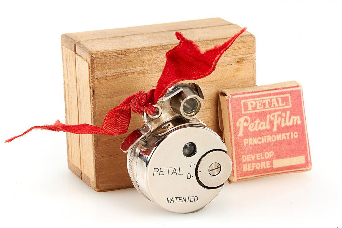 Sakura Seiki Petal (1 of 6)