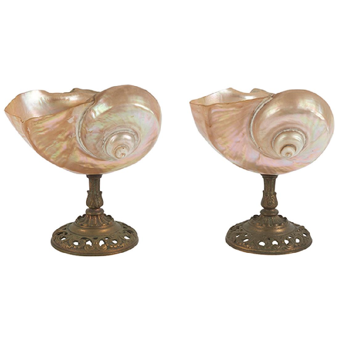 Victorian Period, Nautilus stands, pair, late 19th: Victorian Period, Nautilus stands, pair, late 19th century, shell, brass, each approximately: 4.75"w x 4"d x 5.5"h Provenance: Provenance: Estate of Constantine (Dean) Ladas, Birmingham, Michigan