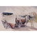 Michael F. Blaser, (American, 20th century), A group of
