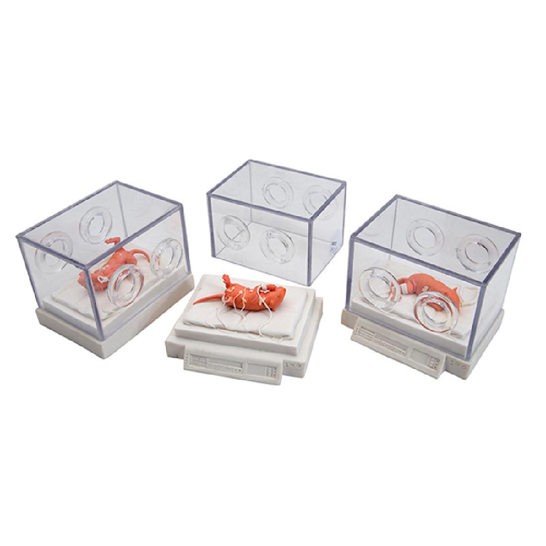 Artist Unknown, Rats in Hospital Beds (a group of: Artist Unknown, Rats in Hospital Beds (a group of three), ceramic with plexiglass, 3.75"h x 4"w x 3"d Provenance: Provenance: The Estate of Candice B. Groot, Evanston, Illinois