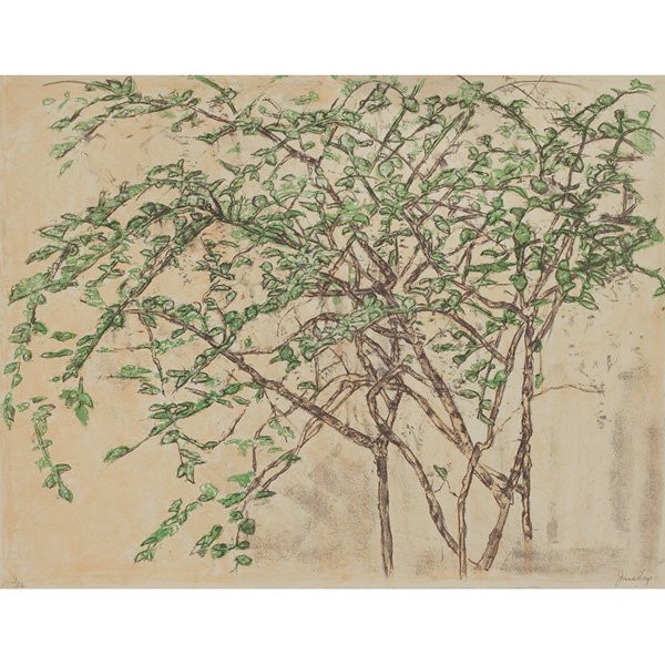 June Leaf (American, b. 1929) "Plants,": June Leaf (American, b. 1929) "Plants," c. 1970, color lithograph, 20" x 25.5", pencil signed lower right, numbered lower left, edition of 12, unframed