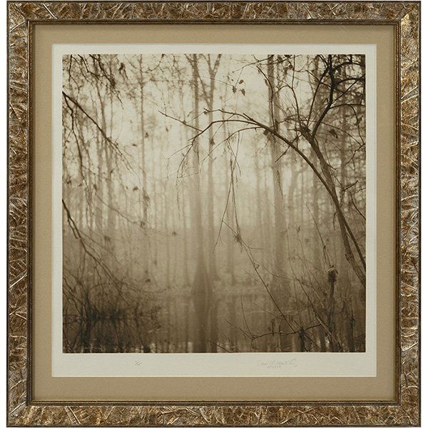 David Halliday (American, b. 1958) Abstract Nature: David Halliday (American, b. 1958) "Abstract Nature, together with a photograph (a pair)," 1999, gelatin silver print, 25" x 25", signed, dated and numbered in pencil in the margin, edition of 25, fra