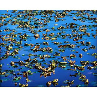 Christopher Burkett, (American, b. 1951), Late Summer: Christopher Burkett, (American, b. 1951), Late Summer Pond, Oregon, 1992, printed 1994, cibachrome, signed, titled, dated and numbered in pencil on verso, #44, 20" x 24"