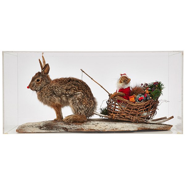 Taxidermy Diorama Rudolph (rabbit) pulling Santa: Taxidermy Diorama, Rudolph (rabbit) pulling Santa (squirrel) in a sleigh, 24"w x 7"d x 11 1/4"h