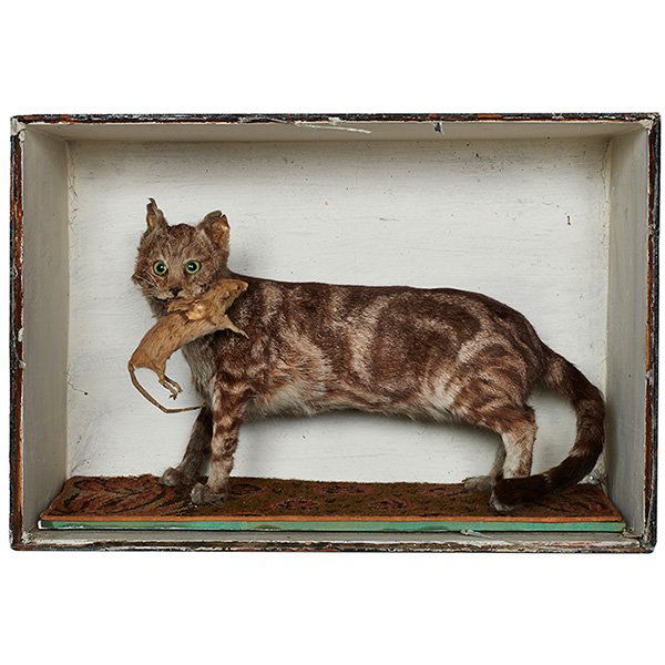 Taxidermy cat diorama, full body mount with mouse: Taxidermy, cat diorama, full body mount with mouse, lacking glass pane, 24"w x 8"d x 16 1/2"h