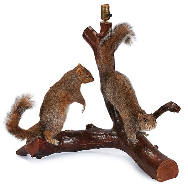 Taxidermy Lamp squirrels, two full body mounts on a: Taxidermy Lamp, squirrels, two full body mounts on a branch, 27"w x 16"d x 22"h