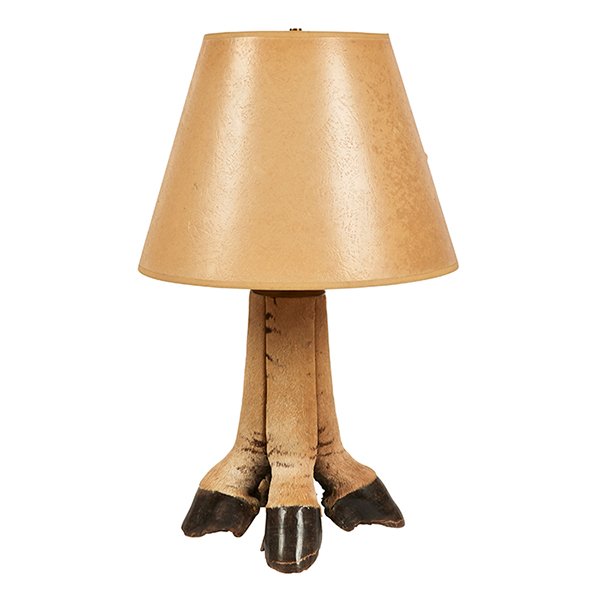 Taxidermy uncloven hoof table lamp: Taxidermy, uncloven hoof table lamp, 10"w x 10"d x 25"h overall