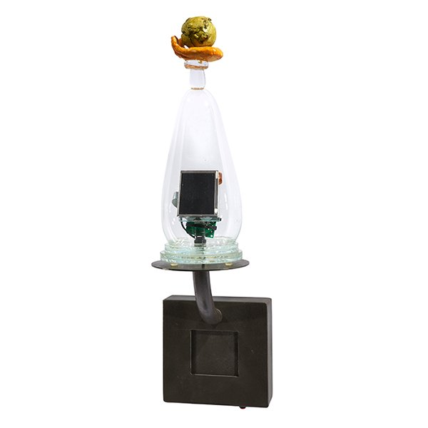 Tim Tate (American, b. 1960), What I Wouldn't Do For (1 of 1)