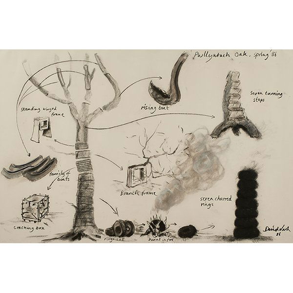 David Nash, (British, b. 1945), Untitled, 1986,: David Nash, (British, b. 1945), Untitled, 1986, charcoal, signed and dated, 31" x 47"