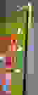item-63780137=4