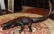 Bronze Alligator Fountain Sculpture