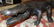 Bronze Alligator Fountain Sculpture - 5