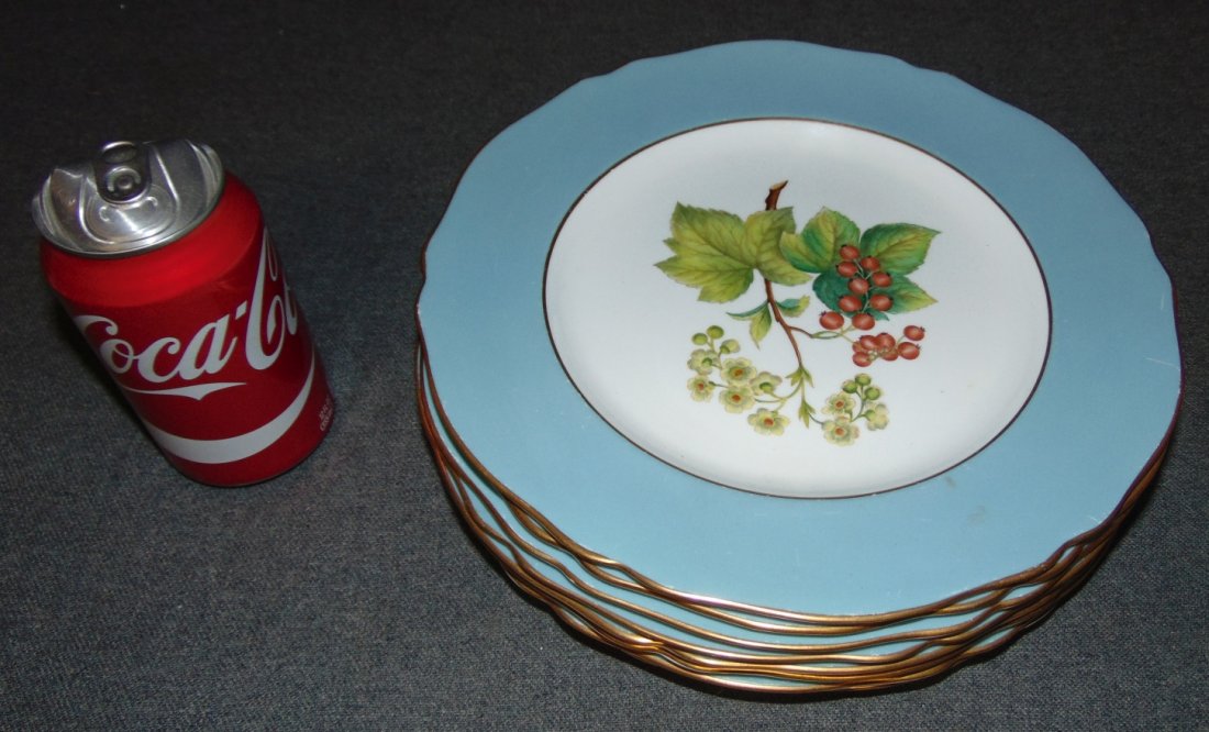 8 Vintage Spode Fruit & Blossom Plates: 8 Vintage "Spode" Fruit & Blossom Dinner Plates. 1 Each of Plum, Peach, Cherry, Goosberry, Tomato, Crab Apple, Strawberry and Red Currant. Each measures 10-1/2" wide. Overall condition is good. Wear c