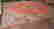 item-101542237=2