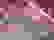 item-101564589=7