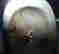 item-101601117=5