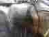 item-128501259=3