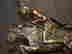 item-129116565=3