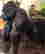 item-130459540=5