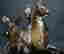 item-130828694=4