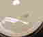 item-130829232=4