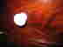 item-130831057=6