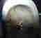item-130842093=5
