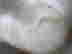 item-130852297=5