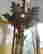 item-130910630=2
