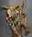 item-131354122=5