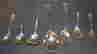 item-132462199=2