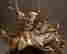item-132529957=4