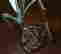 item-132531378=5