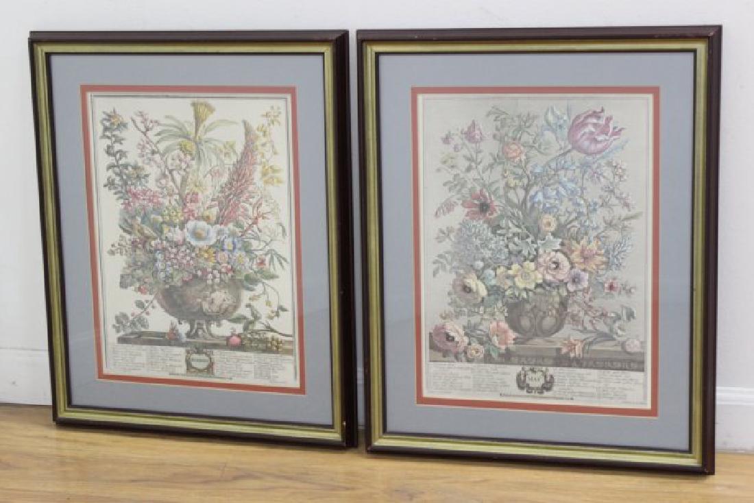 Pair Botanical Prints (1 of 5)