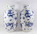 Pair Chinese Blue & White Porcelain Vases