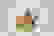 item-52649507=2