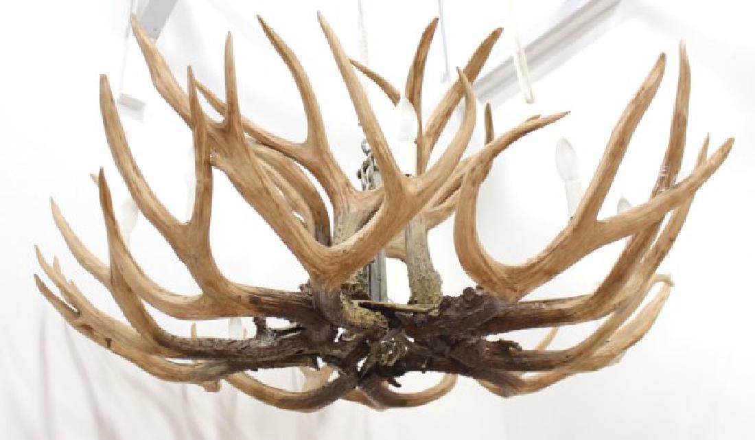 10-Light Deer Horn Chandelier (1 of 3)
