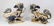 Pair Chinese Ceramic Foo Dogs