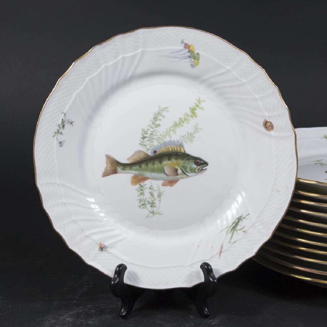 12 Ginori Fish Plates: Approx. 10 1/4" D.