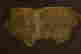 item-55857109=6